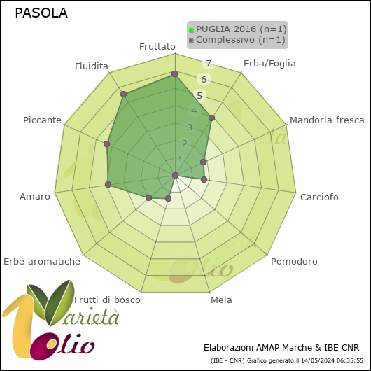 Profilo sensoriale medio della cultivar  PUGLIA 2016